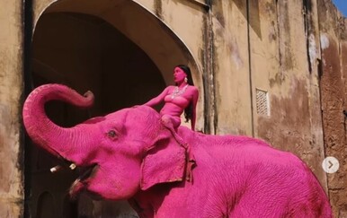 Slon obojen u jarko ružičasto šokirao javnost, umjetnica pod istragom: "Čak i ako boja nije toksična..."