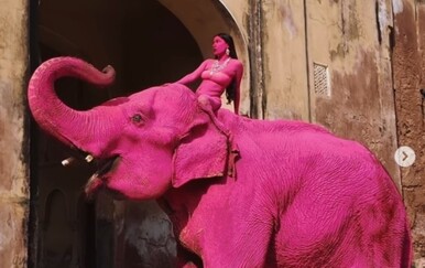 Slon obojen u jarko ružičasto šokirao javnost, umjetnica pod istragom: "Čak i ako boja nije toksična..."