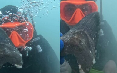 Tinejdžer pronašao "otkriće života" pod vodom