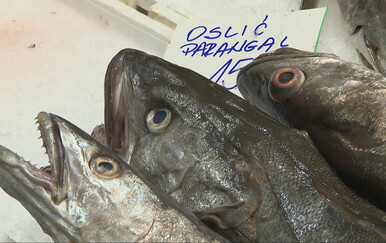 Bura i plavi dizel diktiraju blagdanski stol: Analiza uzroka drastičnog poskupljenja ribe uoči Velikog petka