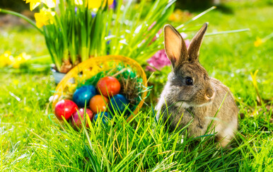 Lektorski dnevnik: Pisanje uskrsnih pojmova