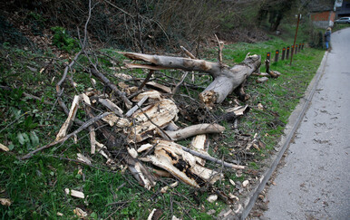 Zagrebački holding: Nevrijeme u Zagrebu oštetilo između 8000 i 10000 stabala