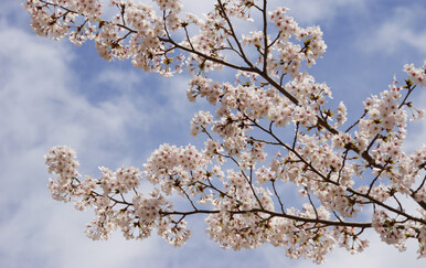 Vremenska prognoza: Uskrs donosi toplo vrijeme, ali i probleme za alergičare