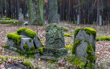 Jeziv slučaj iz SAD-a: Kako je mahovina razotkrila plčjačkaše grobova