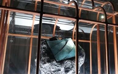 Znanstvenici i dizajneri kreirali torbicu od kolagena dobivenog iz fosilnih ostataka T. rexa