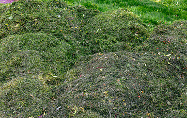 U Austriji muškarac brutalno ubio suprugu i majku četvero maloljetne djece