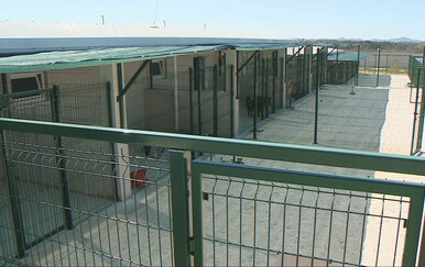 Otvoren novi azil za pse u Zadru, volonteri nezadovoljni