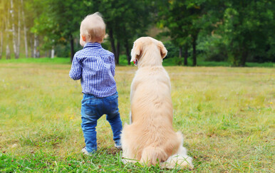 Pasmine pasa poznate kao dadilje