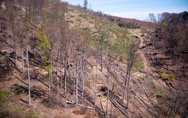 Devastirana Medvednica dva tjedna nakon velike oluje