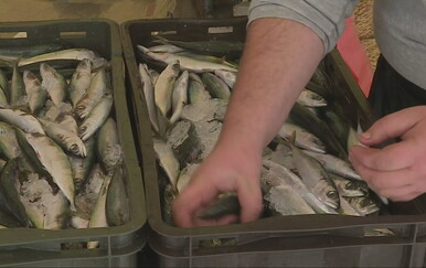 Ribari upozoravaju da poskupljenje goriva prijeti paralizom izlaska na more