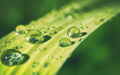 Vikend će biti sunčan i topliji, s temperaturama do 20 stupnjeva diljem HrvatskePetak donosi oblačno i svježije vrijeme, malo kiše moguće u kopnenim krajevima.