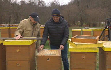 Sporazum EU i Mercosura izazvao zabrinutost među poljoprivrednicima zbog pojačanog uvoza