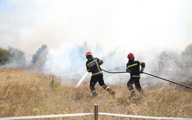 Užas u Dalmaciji: Muškarac pokušao obraniti stado od vukova, pa izazvao veliki požar