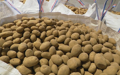 Domaći krumpir postaje luksuz? Dok naša poljoprivreda propada, uvozimo ga iz Njemačke, Egipta i Francuske