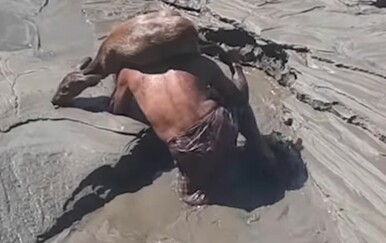 Riskirali život kako bi spasili životinje, a njihovo junaštvo zabilježile kamere