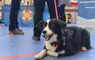 Tuga u HGSS-u: Preminula Tara, koja je spašavala živote - "Putuj, nađi i gore ekipu"