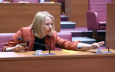 Prepucavanje Ikić Baniček i Habijana u Saboru, uključio se i Piletić