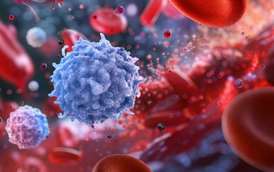 Kina: Virus iz morskih organizama povezan s rijetkom očnom bolešću