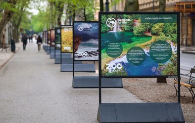 Vlažna staništa nestaju alarmantnom brzinom: Čovječja ribica, dabar i riječna kornjača na Zrinjevcu