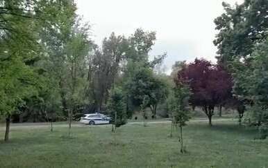 Na Bundeku uginula dva labuda