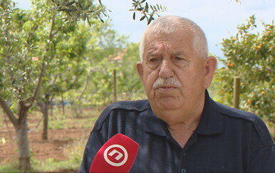 Srbija traži puštanje Ratka Mladića