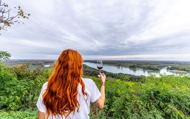 Kakav si lega ili legica?