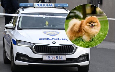 Pomazila psa, uslijedio žestok sukob u Svetoj Klari