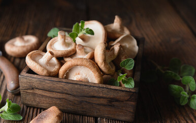 Kako se piše: shiitake ili šitake