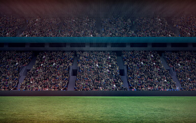 Lektorski dnevnik: Homografi