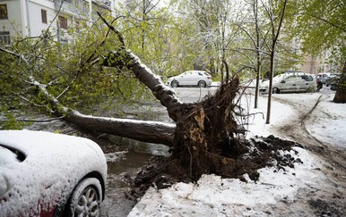 Snježna oluja pogodila Moskvu: Otkazani letovi, stabla čupana iz korijena