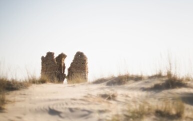 Opasna invazivna vrsta širi se predgrađem Rima, pronađena dva agresivna primjerka: "Ne prilazite im"