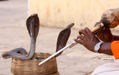 Njemački turist umro nakon ugriza zmije u Egiptu