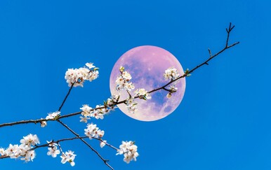 Kojim znakovima cvjetni Mjesec donosi promjene?