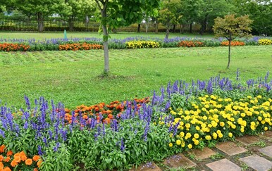 Kako do cvjetne gredice u nekoliko trenutaka - video pokazao koliko je jednostavno