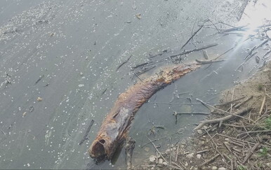 Sumnje na onečišćenje u Ivanić Gradu, oglasila se tvrtka: "Ne može se disati"