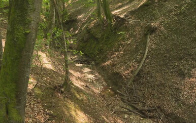 Otkrivene dvije moguće lokacije masovnih grobnica kod Našica i Vojnića