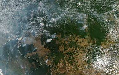 Požari u Amazoni (Foto: HO / NASA Earth Observatory / AFP)