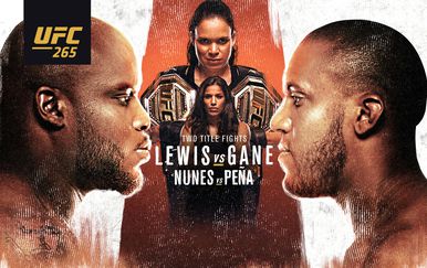 UFC 265: Lewis - Gane