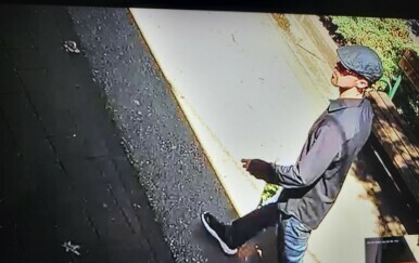 Pljačka u Sesvetama - 8