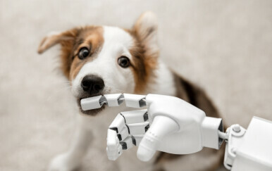Robot i pas, ilustracija