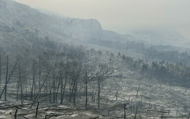 Opožareno područje Parka prirode Biokovo - 1