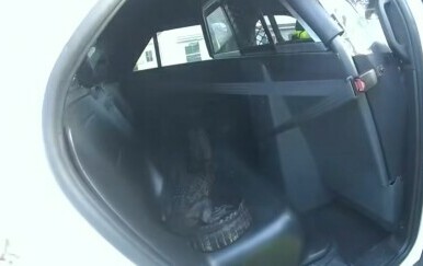 Policajac na Floridi golim rukama izvukao aligatora iz bazena