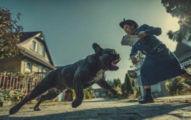 Francuski buldog napao poštaricu, vlasnik kažnjen