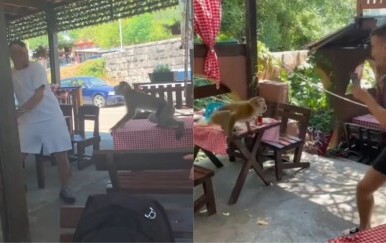Kaos u Crnoj Gori! Gosti restorana proživjeli neviđene scene