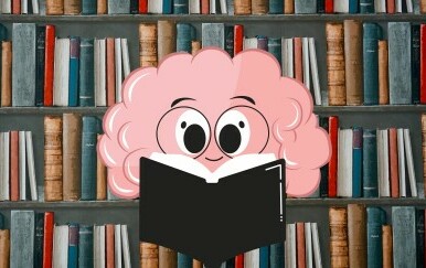 Polica s knjigama i grafika mozga koji čita knjigu