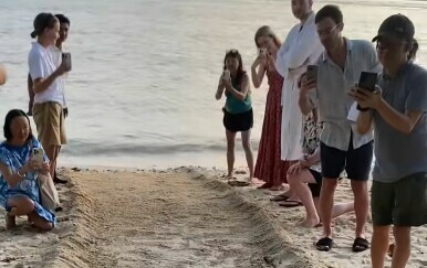 Prizor s plaže oduševio turiste, ovakvo što pamti se do kraja života
