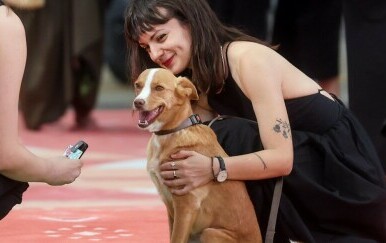 Pas Lija na Sarajevo Film Festivalu - 8