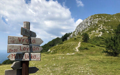 Orintološki kamp na Učki: Prstenovanje ptica radi istraživanja