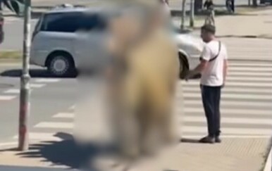 Muškarac kako hoda Srbijom s dinosaurom