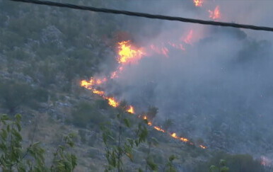 Ana Vela i Marko Tapalović - 4